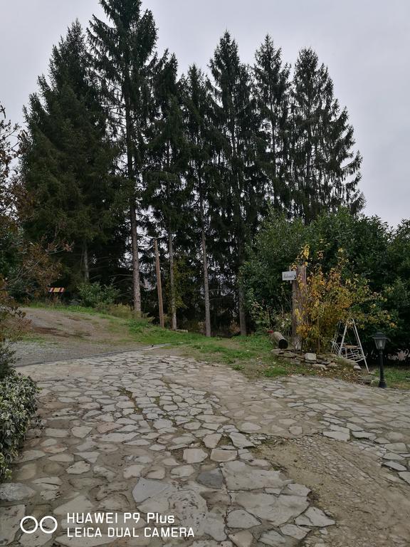 Agriturismo Davide Bossolasco Esterno foto